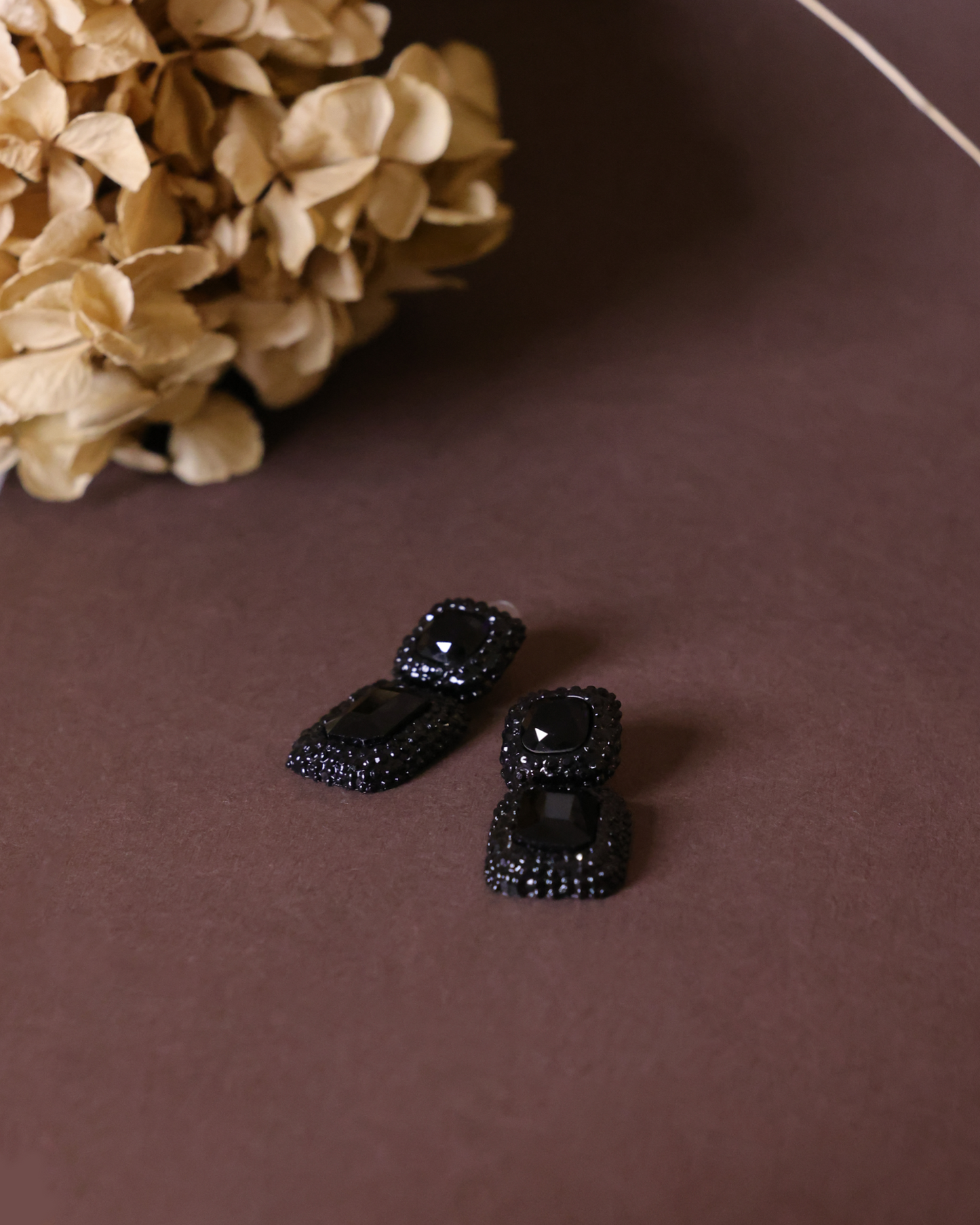 Black and Black Dangler earrings